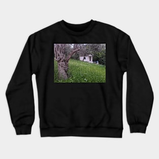 Olive Grove Chapel Crewneck Sweatshirt